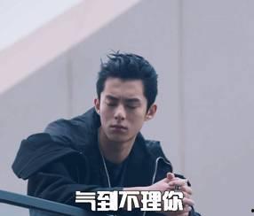 吃瓜娱乐王鹤棣,吃瓜娱乐界的“瓜王”崛起之路