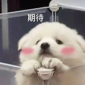 娱乐圈八卦吃瓜聊天记录