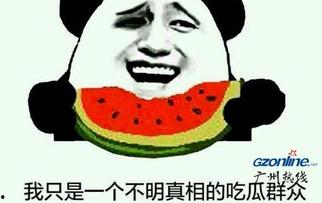 吃瓜群众指什么意思,网络时代的旁观者与评论者