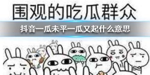 抖音娱乐吃瓜君怎么了,揭秘背后真相与影响