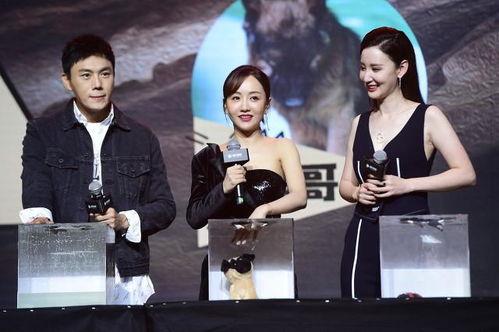 娱乐圈吃瓜爆料素材视频,揭秘明星幕后故事,一窥娱乐圈真实面貌