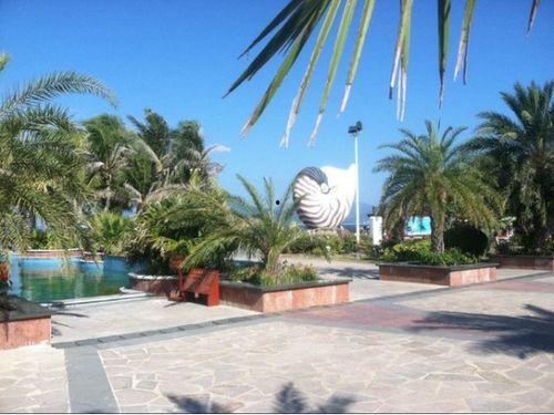 娱乐718.吃瓜三亚,揭秘718吃瓜狂欢背后的精彩故事